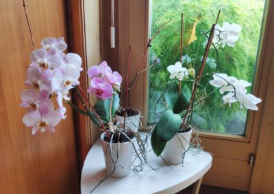 Salle-attente-fleurs