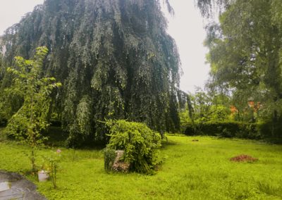 Centre-Ressources-jardin